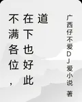 不滿各位，在下也好這一口 封面