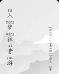 入夢往昔遊 封面