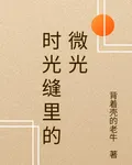 時光縫裏的微光 封面