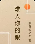 難入你的眼 封面
