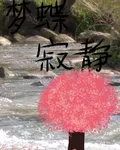 夢蝶寂靜 封面