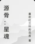 源骨：星魂 封面