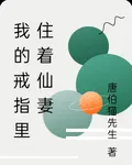 我的戒指裏住着仙妻 封面