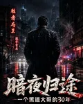 暗夜歸途：一個黑道大哥的三十年 封面