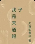 我是天道賜子 封面