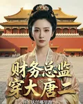 財務總監穿大唐二 封面