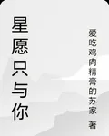 星願只與你 封面