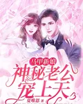 馬甲新娘：神祕老公寵上天 封面