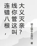 連錯八根，線你管這叫大義滅親？ 封面