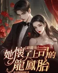 辭職後，她懷了上司的龍鳳胎 封面