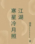 寒星冷月照江湖 封面