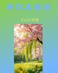等你在春深 封面