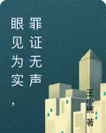 眼見爲實，罪證無聲 封面