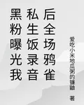 黑粉曝光我私生飯錄音後全場鴉雀 封面