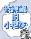 快穿：被覬覦的小炮灰 封面