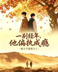 一別經年，他偏執成癮 封面