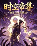 時空帝尊：獨寵吾妹踏仙途 封面
