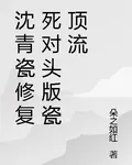 沈青瓷修復死對頭版瓷頂流 封面