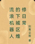 流浪機器人的下城區維修日常 封面