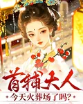首輔大人今天火葬場了嗎？ 封面