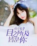 帝少寵妻：目之所及皆是你 封面