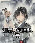 漏雨刀之迴風錄 封面