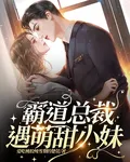 霸道總裁遇萌甜小妹 封面
