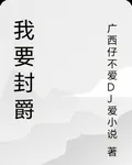 我要封爵 封面