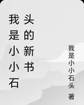 我是小小石頭的新書 封面