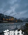 苗疆重生：寒江不負 封面