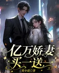 億萬嬌妻買一送一 封面