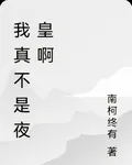 我真不是夜皇啊 封面