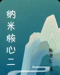 納米核心二 封面