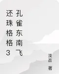 還珠格格3孔雀東南飛 封面