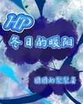 HP冬日的暖陽 封面