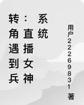 轉角遇到兵：直播女神系統 封面