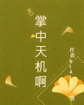 掌中天機啊 封面