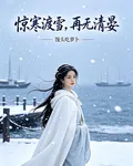 驚寒渡雪，再無清晏 封面