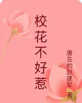 校花不好惹 封面