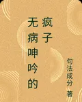 無病呻吟的瘋子 封面