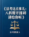 法考這點事兒：八科掰開揉碎講 封面