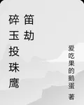 碎玉投珠鷹笛劫 封面