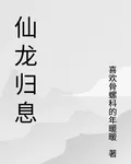 仙龍歸息 封面