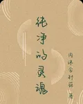 純淨的靈魂 封面