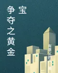 爭奪之黃金寶 封面