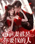 顧總，你前妻就是你要找的人 封面