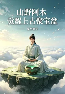 山野阿木覺醒上古聚寶盆 封面