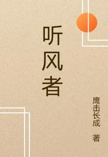 暗語聽風者 封面