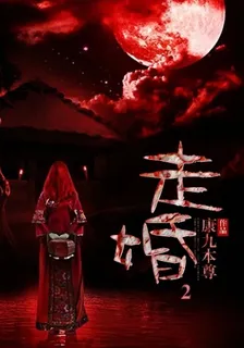 走婚2 封面