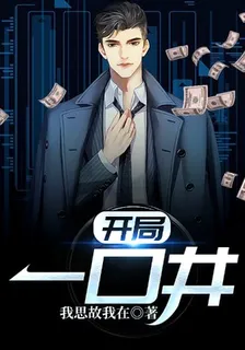 開局一口井 封面
